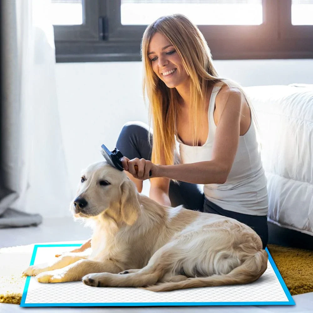 100pcs Dog Absorbent Training Pad 60 x 60 cm - Image 3