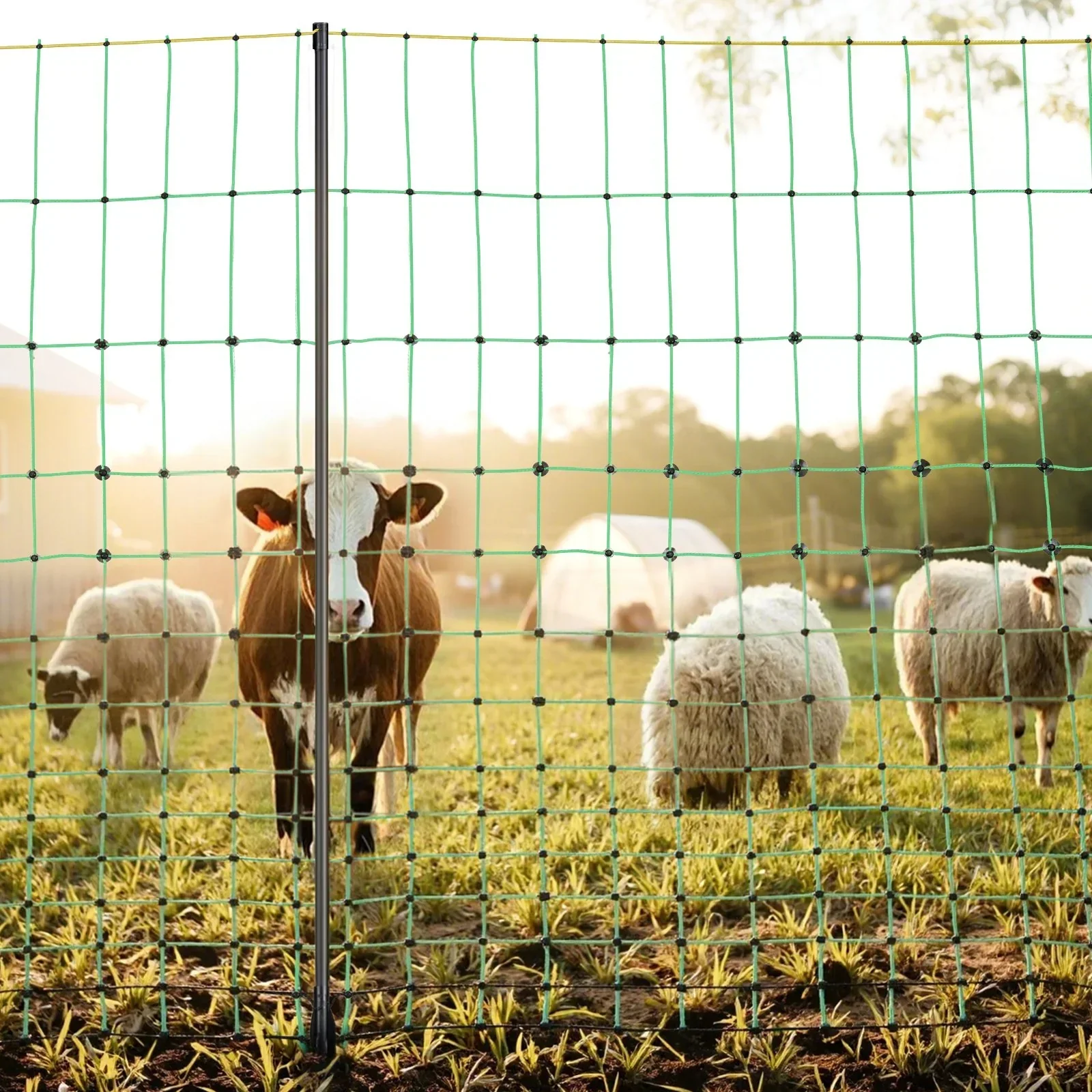Electric Fence Netting, 0.88 x 49.98 m, PE Net Fencing with Posts & Double-Spiked Stakes, Utility Portable Mesh for Goats, Sheep, Lambs, Deer, Hogs, Dogs, Used in Backyards, Farms, and Ranches - Image 8